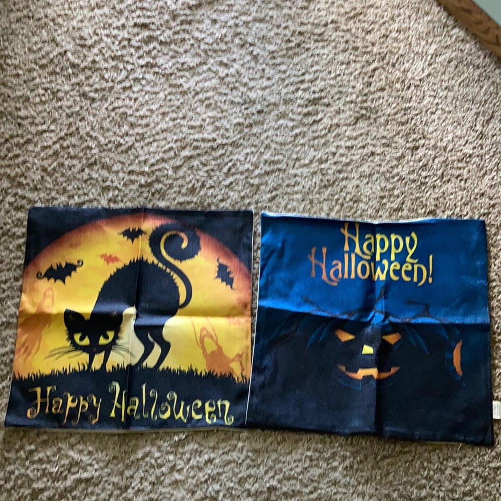 Set of 2 Halloween pillow cases